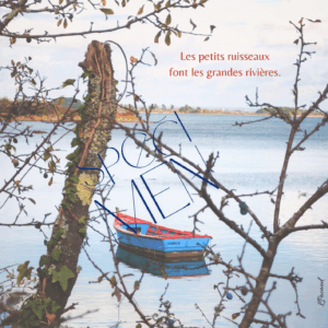 Cartes à rêver ; cartes de voeux