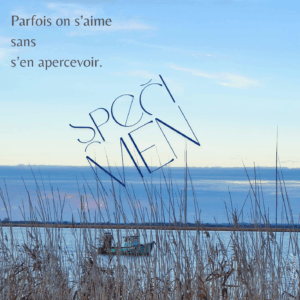 Cartes à rêver ; cartes de voeux