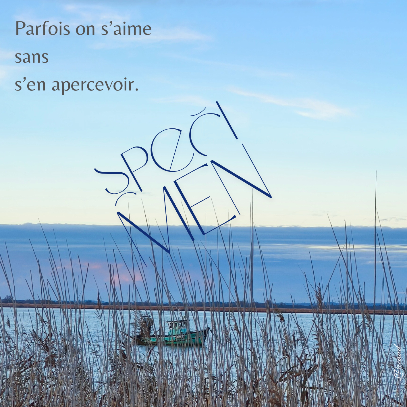 Cartes à rêver ; cartes de voeux