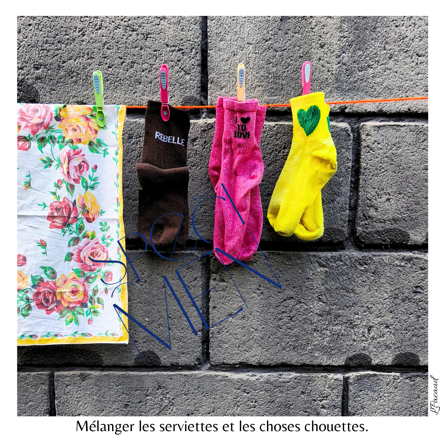 Cartes à rêver ; cartes de voeux